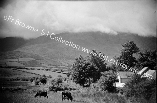 COOMERAGH MOUNTAINS FROM CLONEACROSS ON DUNGARVAN CARRICK ROAD